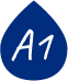 A1