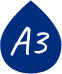 A3